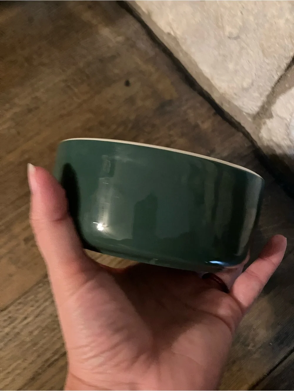 Mason Cash ceramic dog bowl featuring a Labrador retriever- Rare dark green